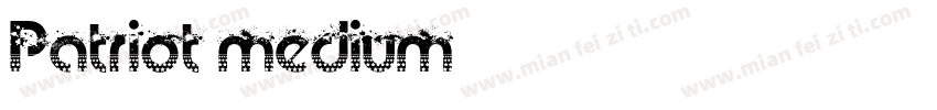 Patriot Medium字体转换